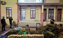 Polres Bireuen ungkap kasus narkotika, satu pelaku dan 154 kg ganja diamankan