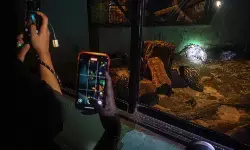 DKI pastikan hewan di Ragunan tak stres meski buka sampai malam