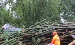 BPBD: Dua korban meninggal saat bencana angin kencang di Jember