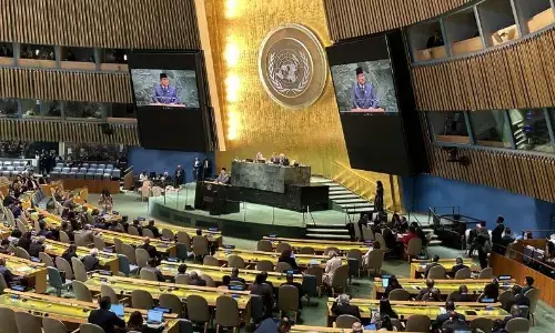 Jejak diplomasi Prabowo dari RS lapangan hingga PBB untuk Palestina Jejak diplomasi Prabowo dari RS lapangan hingga PBB untuk Palestina