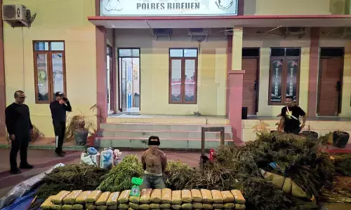 Polres Bireuen ungkap kasus narkotika, satu pelaku dan 154 kg ganja diamankan Polres Bireuen ungkap kasus narkotika, satu pelaku dan 154 kg ganja diamankan