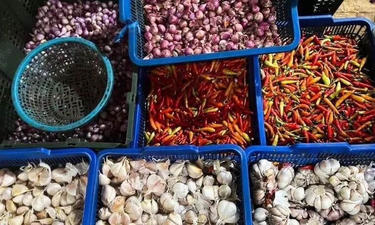 Bapanas: Harga cabai rawit Rp44.214/kg, bawang merah Rp38.821/kg Bapanas: Harga cabai rawit Rp44.214/kg, bawang merah Rp38.821/kg