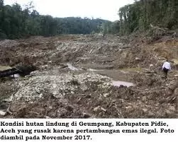 Walhi Aceh sebut tambang emas ilegal diduga libatkan pemodal besar dan oknum aparat Walhi Aceh sebut tambang emas ilegal diduga libatkan pemodal besar dan oknum aparat