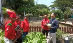 Sebanyak 25 petani di Indonesia terima penghargaan Master Panen 2025
