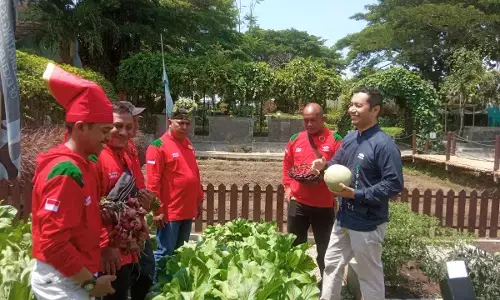 Sebanyak 25 petani di Indonesia terima penghargaan Master Panen 2025 Sebanyak 25 petani di Indonesia terima penghargaan Master Panen 2025