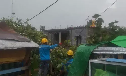 Tiga desa di Kabupaten Dompu diterjang angin kencang Tiga desa di Kabupaten Dompu diterjang angin kencang