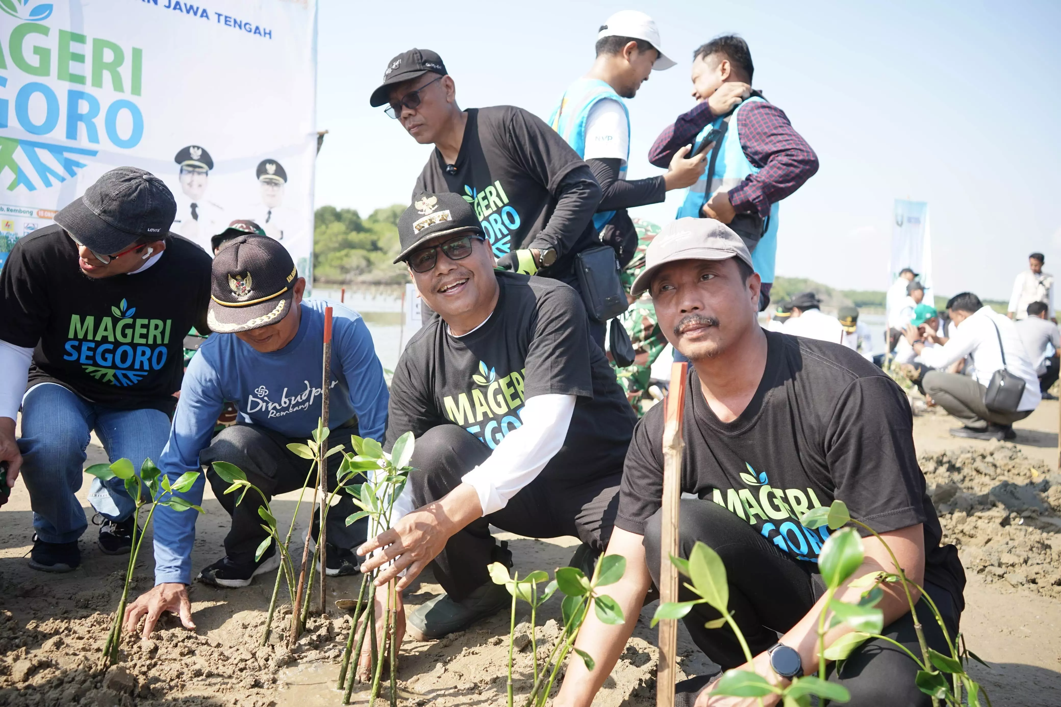 Ribuan mangrove hijaukan pesisir Rembang Ribuan mangrove hijaukan pesisir Rembang