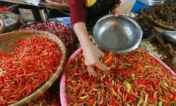 Bapanas: Harga cabai rawit Rp42.405/kg, bawang merah Rp38.540/kg
