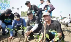 Ribuan mangrove hijaukan pesisir Rembang