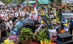 Hari Pangan Sedunia, Bergandengan Tangan Membangun Pangan