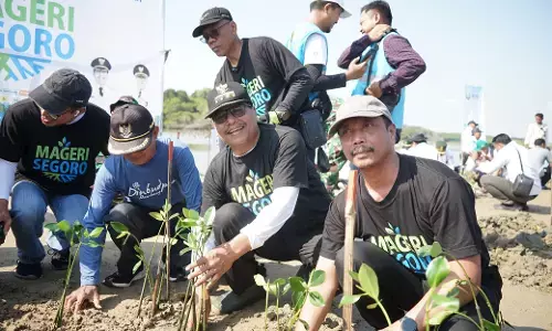 Ribuan mangrove hijaukan pesisir Rembang Ribuan mangrove hijaukan pesisir Rembang