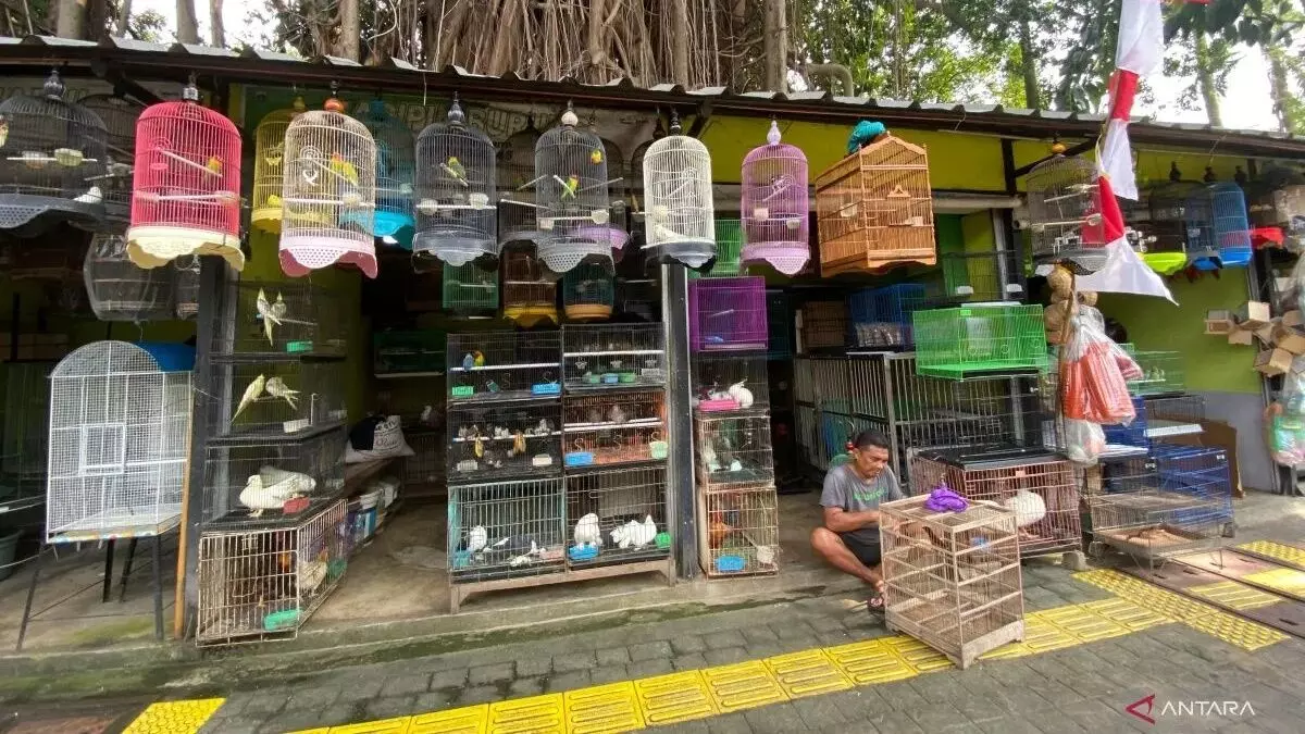 Legislator pastikan sentra fauna Lenteng Agung siap tampung pedagang Barito Legislator pastikan sentra fauna Lenteng Agung siap tampung pedagang Barito