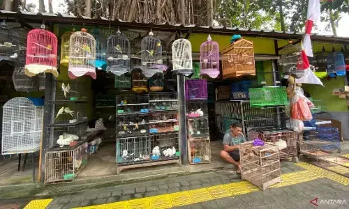 Legislator pastikan sentra fauna Lenteng Agung siap tampung pedagang Barito