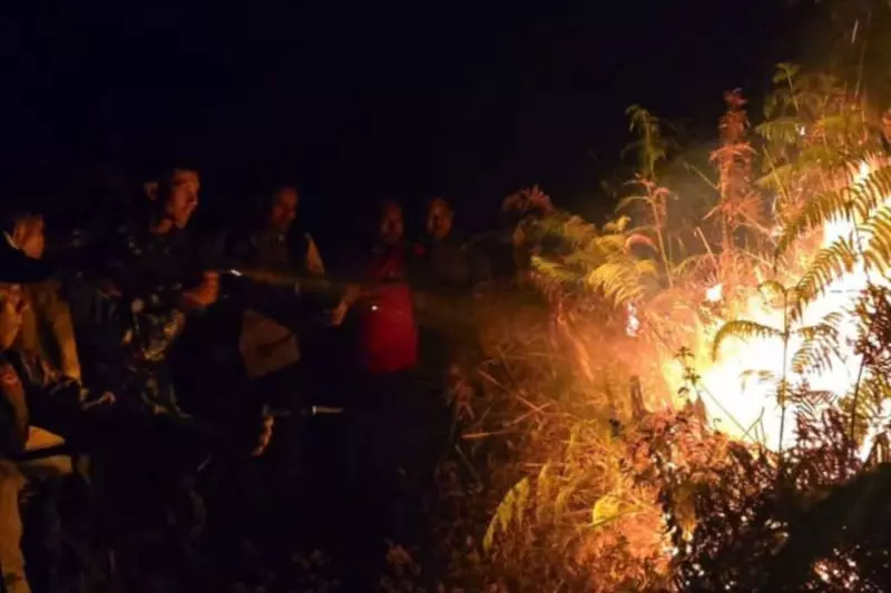 TNGR: Kebakaran lahan di kawasan Gunung Rinjani capai 10 hektare TNGR: Kebakaran lahan di kawasan Gunung Rinjani capai 10 hektare