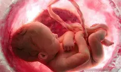 Ini alasan kehamilan di usia remaja tidak disarankan dokter Ini alasan kehamilan di usia remaja tidak disarankan dokter