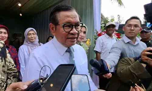 Pemprov DKI akan manfaatkan kolong tol untuk ruang terbuka hijau Pemprov DKI akan manfaatkan kolong tol untuk ruang terbuka hijau