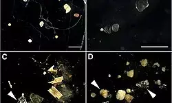 Pemprov DKI perkuat pengendalian limbah plastik terkait mikroplatik dalam hujan