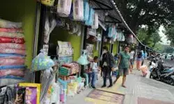 Pedagang eks Barito kunjungi Sentra Fauna Lenteng Agung, siap dukung penataan