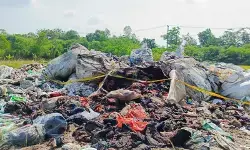 DLH koordinasi lintas sektor tangani temuan limbah medis di Serang DLH koordinasi lintas sektor tangani temuan limbah medis di Serang