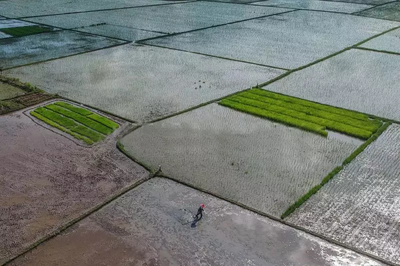 Mentan: Pemerintah tambah program cetak sawah untuk tekan harga beras Mentan: Pemerintah tambah program cetak sawah untuk tekan harga beras