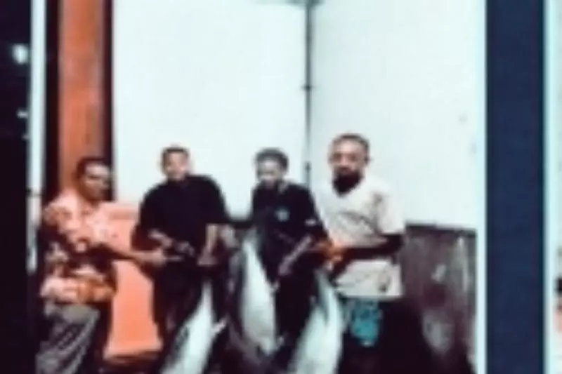 SKPT Biak kirim 30 ton ikan ke Surabaya SKPT Biak kirim 30 ton ikan ke Surabaya