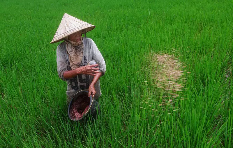 Anggota DPR serap aspirasi dan suara petani di pedalaman Anggota DPR serap aspirasi dan suara petani di pedalaman