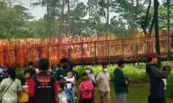 Pengelola Tebet Eco Park tegur komunitas fotografi yang lakukan pungli