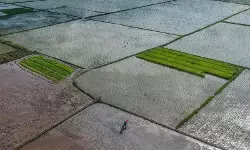 Mentan: Pemerintah tambah program cetak sawah untuk tekan harga beras