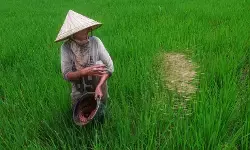 Anggota DPR serap aspirasi dan suara petani di pedalaman