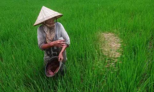 Anggota DPR serap aspirasi dan suara petani di pedalaman