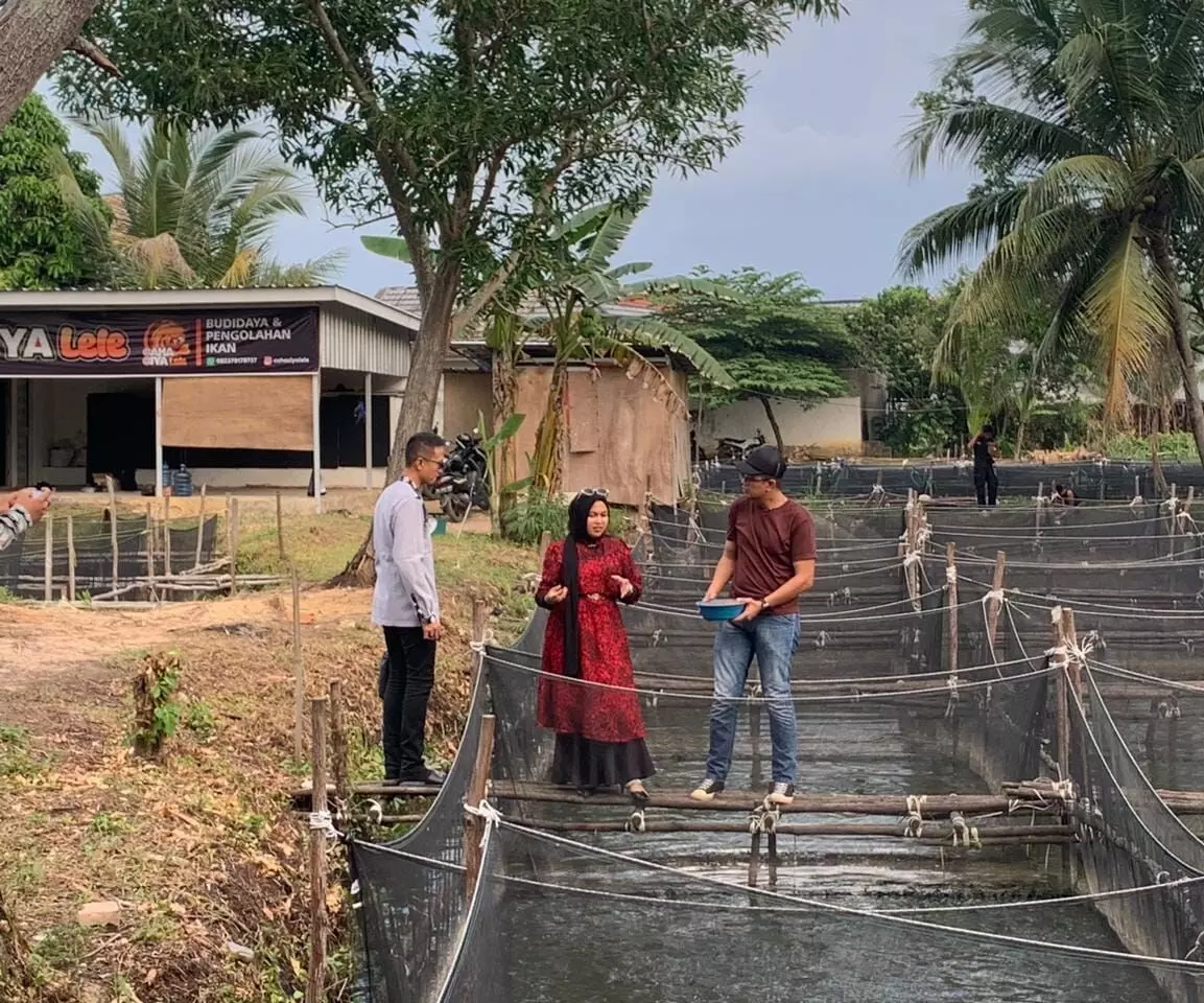 Caha Ciya Lele, bersama Elshinta Palembang dalam Program Suara Pangan Caha Ciya Lele, bersama Elshinta Palembang dalam Program Suara Pangan