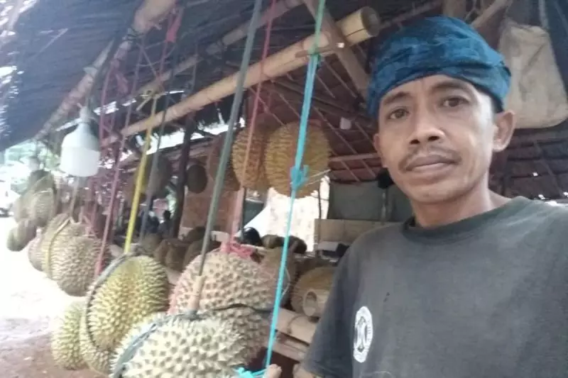 Pengunjung saba budaya Badui mulai ramai buru buah durian
