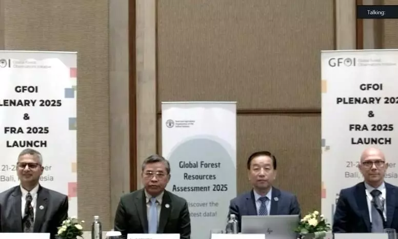 FAO catat tren laju deforestasi dunia melambat