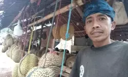 Pengunjung saba budaya Badui mulai ramai buru buah durian Pengunjung saba budaya Badui mulai ramai buru buah durian