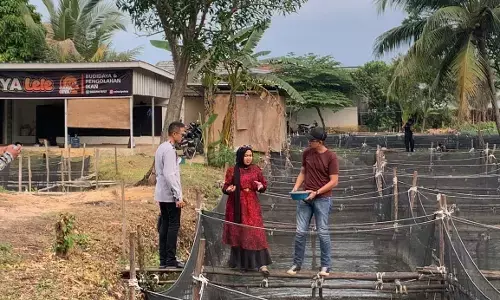 Caha Ciya Lele, bersama Elshinta Palembang dalam Program Suara Pangan Caha Ciya Lele, bersama Elshinta Palembang dalam Program Suara Pangan
