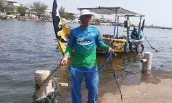 Menanam mangrove, menuai asa warga Tambakrejo