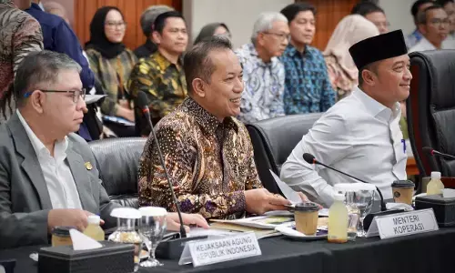 Koperasi percepat realisasi Program Pangan, Energi, dan Pemberdayaan Desa