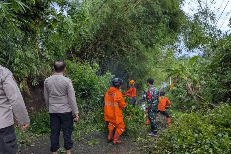 BPBD Bondowoso catat 68 rumah rusak akibat diterjang angin kencang BPBD Bondowoso catat 68 rumah rusak akibat diterjang angin kencang