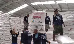 Petani di Kudus sambut gembira penurunan harga pupuk bersubsidi Petani di Kudus sambut gembira penurunan harga pupuk bersubsidi