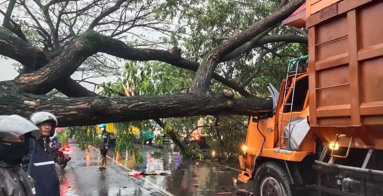 Pohon tumbang timpa truk, macetkan jalur Pantura Kudus-Pati berjam-jam Pohon tumbang timpa truk, macetkan jalur Pantura Kudus-Pati berjam-jam