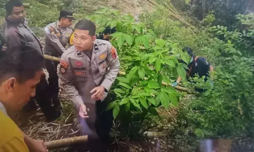 Polisi dalami kasus penemuan bayi terpotong di Bukittinggi Polisi dalami kasus penemuan bayi terpotong di Bukittinggi