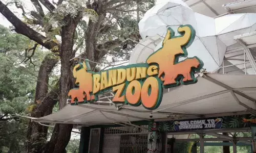 DPRD minta Pemkot Bandung segera bersikap soal nasib Bandung Zoo DPRD minta Pemkot Bandung segera bersikap soal nasib Bandung Zoo