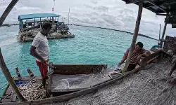 Penambang rakyat di Bangka optimistis kesejahteraan meningkat