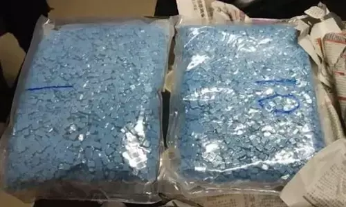 BNN bongkar jaringan narkoba lintas pulau, vape jadi alat penyamaran