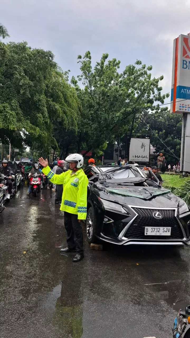 Hujan deras dan angin kencang, timbulkan korban jiwa di Jakarta Selatan Hujan deras dan angin kencang, timbulkan korban jiwa di Jakarta Selatan
