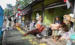 Pemprov DKI dampingi pedagang Eks-Barito pindah ke Sentra Fauna dan Kuliner Lenteng Agung Pemprov DKI dampingi pedagang Eks-Barito pindah ke Sentra Fauna dan Kuliner Lenteng Agung