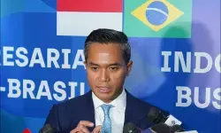 Kadin optimistis perdagangan RI-Brasil naik hingga tiga kali lipat