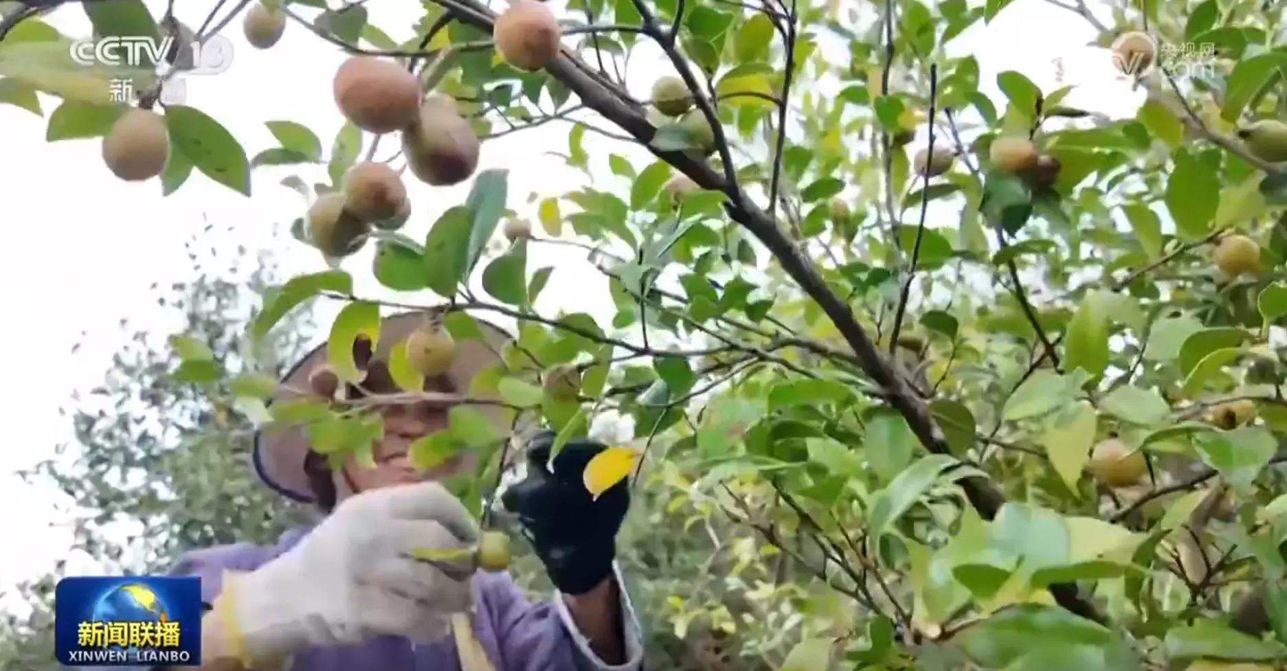 Mengapa Xi Jinping Berpesan: “Harus memegang teguh konsep pembangunan baru” Mengapa Xi Jinping Berpesan: “Harus memegang teguh konsep pembangunan baru”