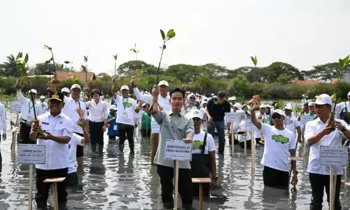 Wapres tanam bibit bakau dukung pemulihan pesisir Banten Wapres tanam bibit bakau dukung pemulihan pesisir Banten