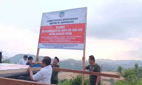 Tindak lanjut temuan peti Mandalika, Kemenhut pasang papan peringatan Tindak lanjut temuan peti Mandalika, Kemenhut pasang papan peringatan